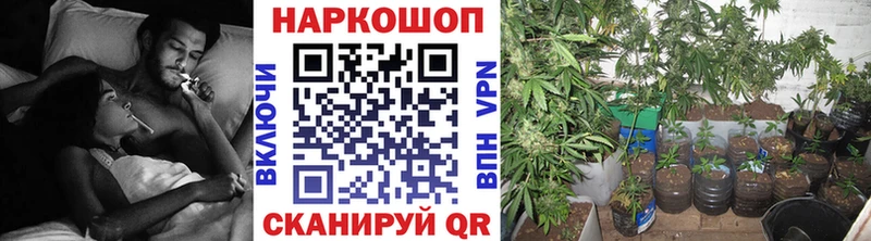 Купить закладку Сухиничи А ПВП  Псилоцибиновые грибы  Меф  Бошки Шишки  МЕГА ссылка  COCAIN 