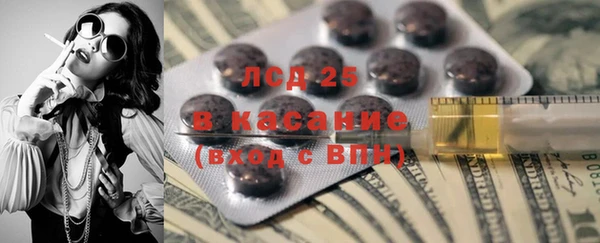 PSILOCYBIN Козловка