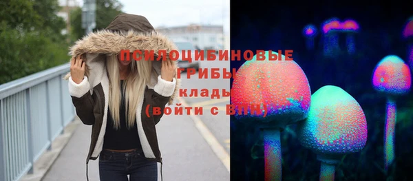 a pvp Кодинск