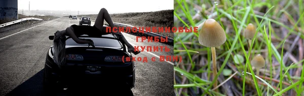 a pvp Кодинск