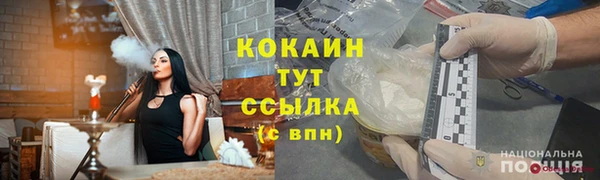 PSILOCYBIN Козловка