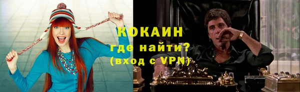 PSILOCYBIN Козловка