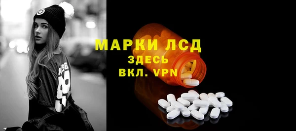 PSILOCYBIN Козловка
