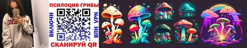 дарнет шоп  Сухиничи  Псилоцибиновые грибы Magic Shrooms 